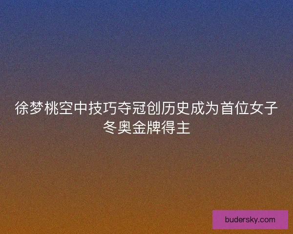 徐梦桃空中技巧夺冠创历史成为首位女子冬奥金牌得主